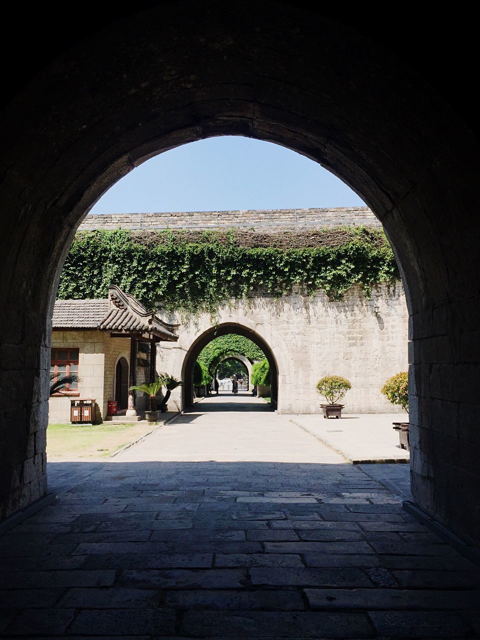 arch, architecture, built structure, indoors, building exterior, archway, entrance, window, tree, day, gate, history, no people, plant, sunlight, sky, door, circle, arched, house