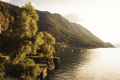 Scenic view of lake and mountains