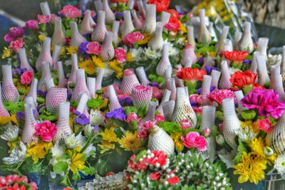 Close-up of multi colored flowering plants at market stall