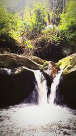 Scenic view of waterfall in forest