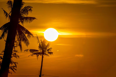 Low angle view of silhouette tree against sky during sunset