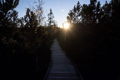 Empty footpath amidst trees against sky