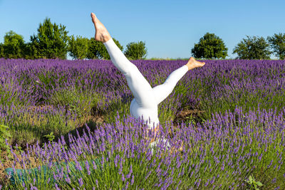 Woman doing yoga warm-up exercises in a blooming lavender field.