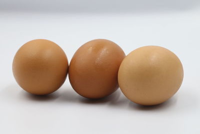 Close-up of eggs against white background
