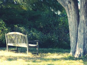 Empty bench in park