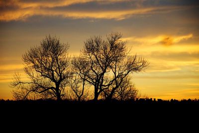 Silhouette trees against sky during sunset