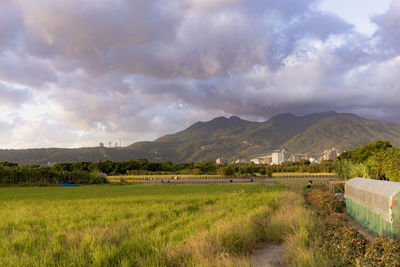 Scenic view of field against sky