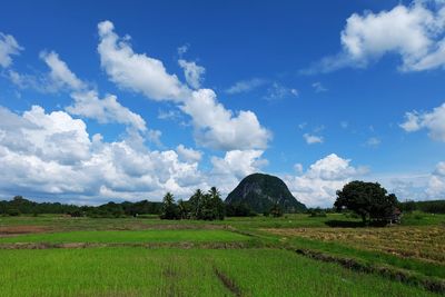 Scenic view of field against sky