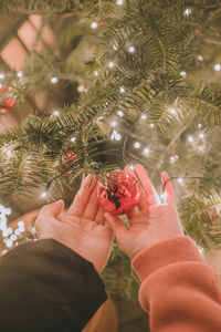 Midsection of person holding christmas tree