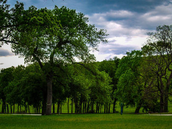 Scenic view of landscape against cloudy sky