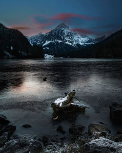 Driftwood on frozen lake against snowcapped mountains during winter