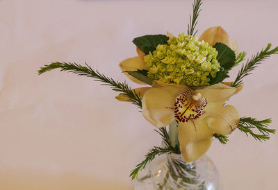 Close-up of vase over white background