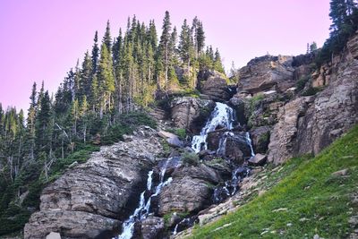 Low angle view of waterfall against trees in forest