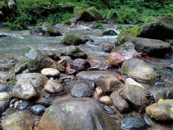 Close-up of pebbles in river