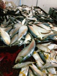 Fish for sale at market stall