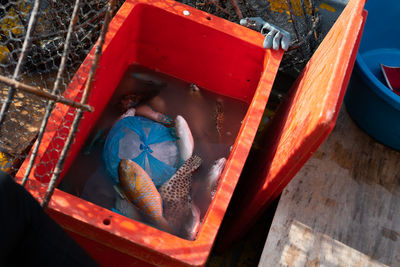 High angle view of man in boat