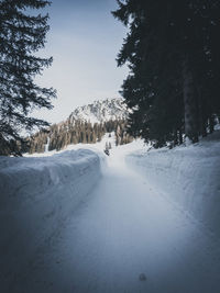 Snow covered road by trees against sky