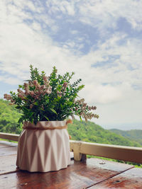 Potted plant on table against sky