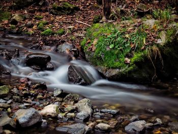 Stream flowing through rocks in forest