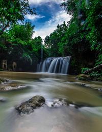 Scenic view of waterfall in forest