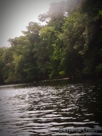 Scenic view of river in forest against sky