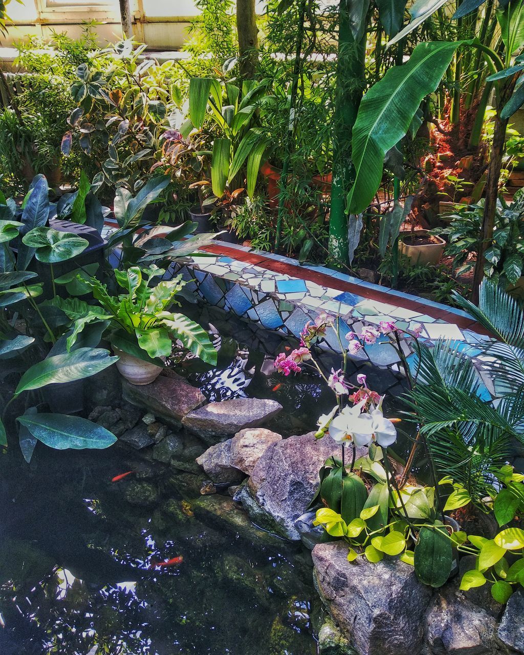 FLOWERING PLANTS BY POND