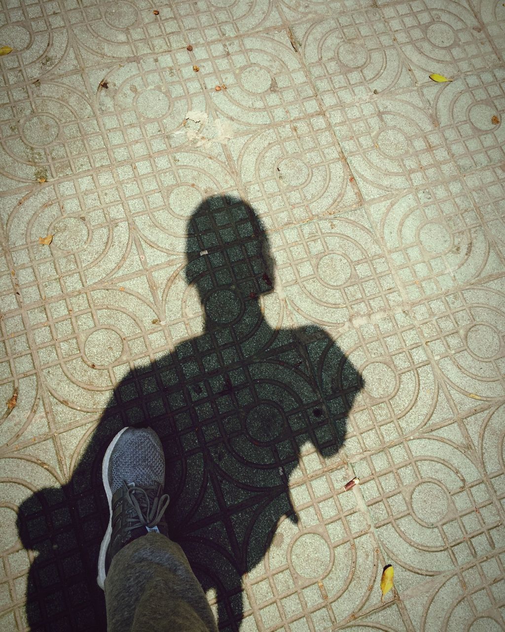 standing, high angle view, lifestyles, low section, shadow, person, leisure activity, personal perspective, street, shoe, leaf, focus on shadow, unrecognizable person, sunlight, outdoors, day, directly above, ground