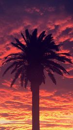 Low angle view of palm trees against cloudy sky