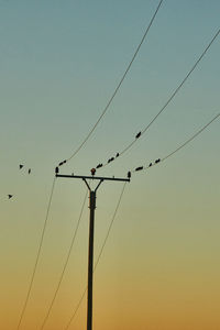 Low angle view of birds flying against clear sky