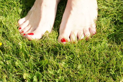 Low section of woman on grass