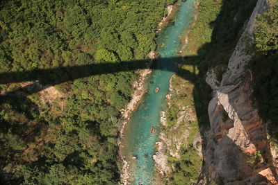 High angle view of river amidst trees