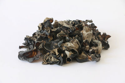 Close-up of roasted coffee beans on white background