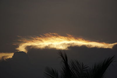 Low angle view of silhouette palm trees against sky during sunset