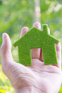 Close-up of hand holding green leaf