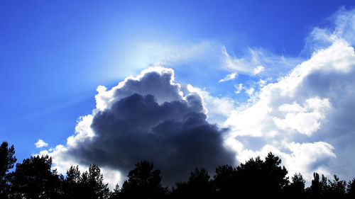 Low angle view of trees against cloudy sky