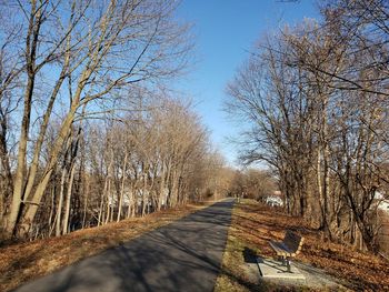 Road amidst bare trees against sky