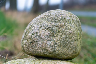 Close-up of stones on rock