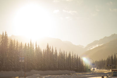 Panoramic shot of trees on mountain against sky