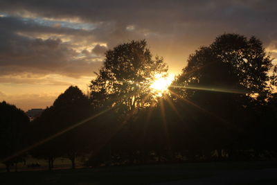 Silhouette trees against sky during sunset