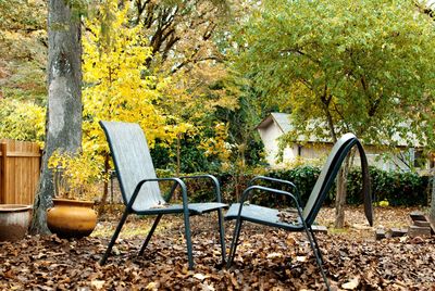 Chairs and tables in forest