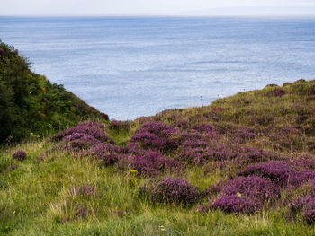 Scenic view of sea