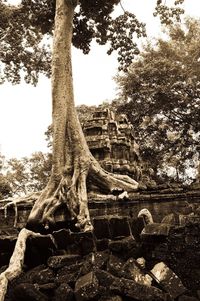 Built structure with trees in background