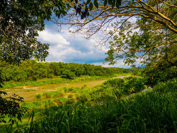 Scenic view of landscape against sky