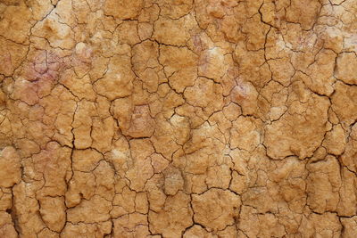 Full frame shot of cracked field