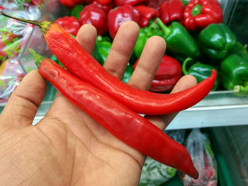 Close-up of hand holding red chili peppers