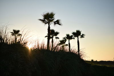 Silhouette trees on field against sky during sunset