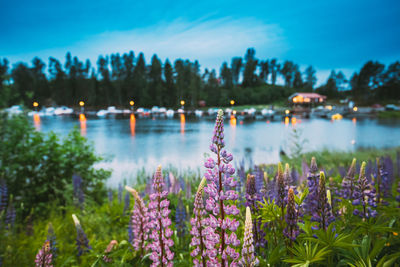 Scenic view of lake against sky