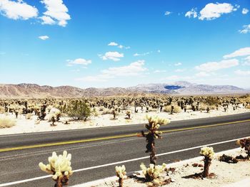 Scenic view of road passing amidst desert
