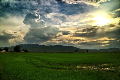 Scenic view of grassy field against cloudy sky