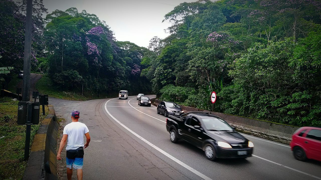 REAR VIEW OF MAN ON CAR ON ROAD AGAINST TREES